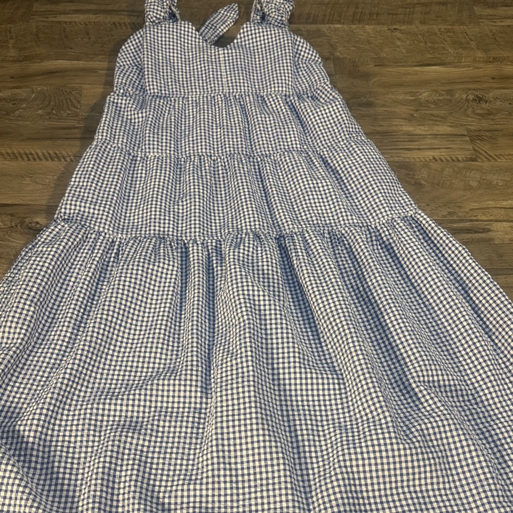 Blue and White Gingham Dress - Picture 8 of 9